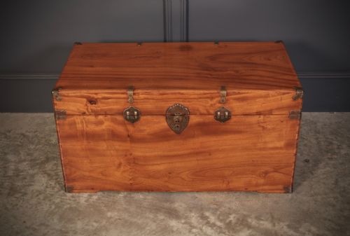 CAMPHOR WOOD TRUNK - ADDITIONAL PHOTO 2