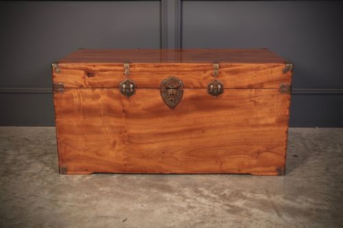 CAMPHOR WOOD TRUNK - ADDITIONAL PHOTO 3