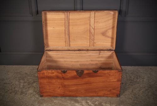 CAMPHOR WOOD TRUNK - ADDITIONAL PHOTO 4