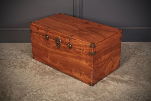 CAMPHOR WOOD TRUNK - ADDITIONAL PHOTO 5