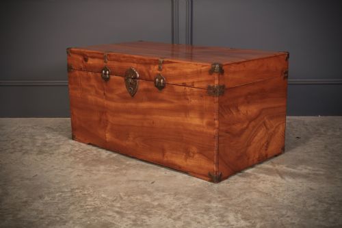 CAMPHOR WOOD TRUNK - ADDITIONAL PHOTO 6
