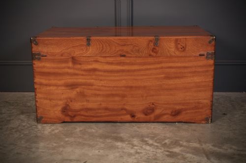 CAMPHOR WOOD TRUNK - ADDITIONAL PHOTO 8