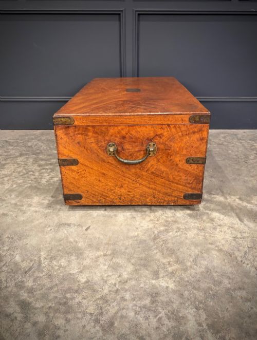 19TH CENTURY CAMPHOR WOOD TRUNK - ADDITIONAL PHOTO 11