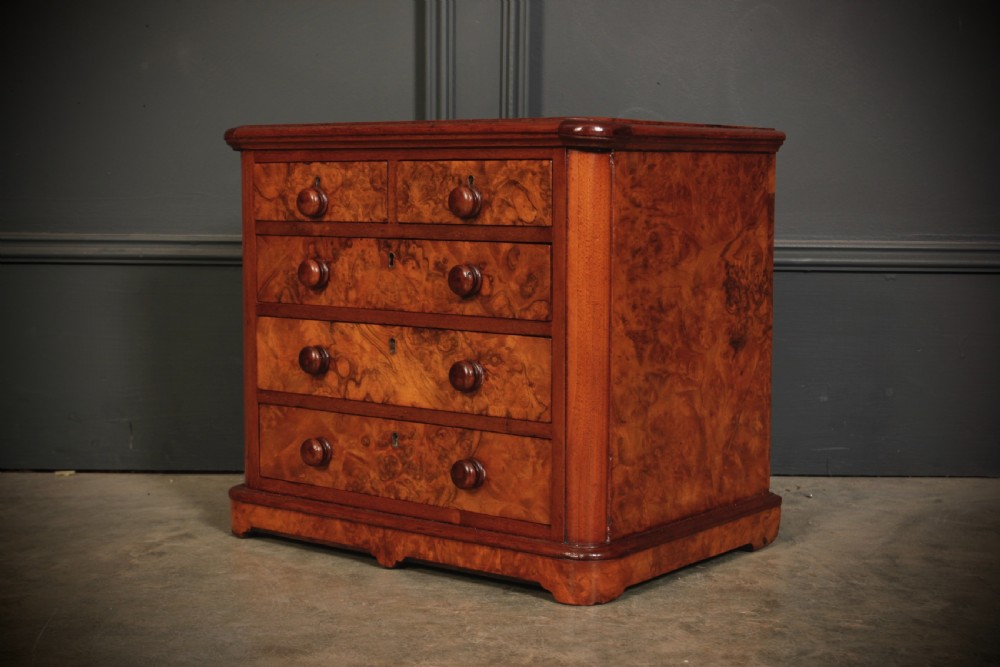 A miniature burr walnut chest of drawers featuring two short drawers above three long graduated drawers with turned wooden knob handles.