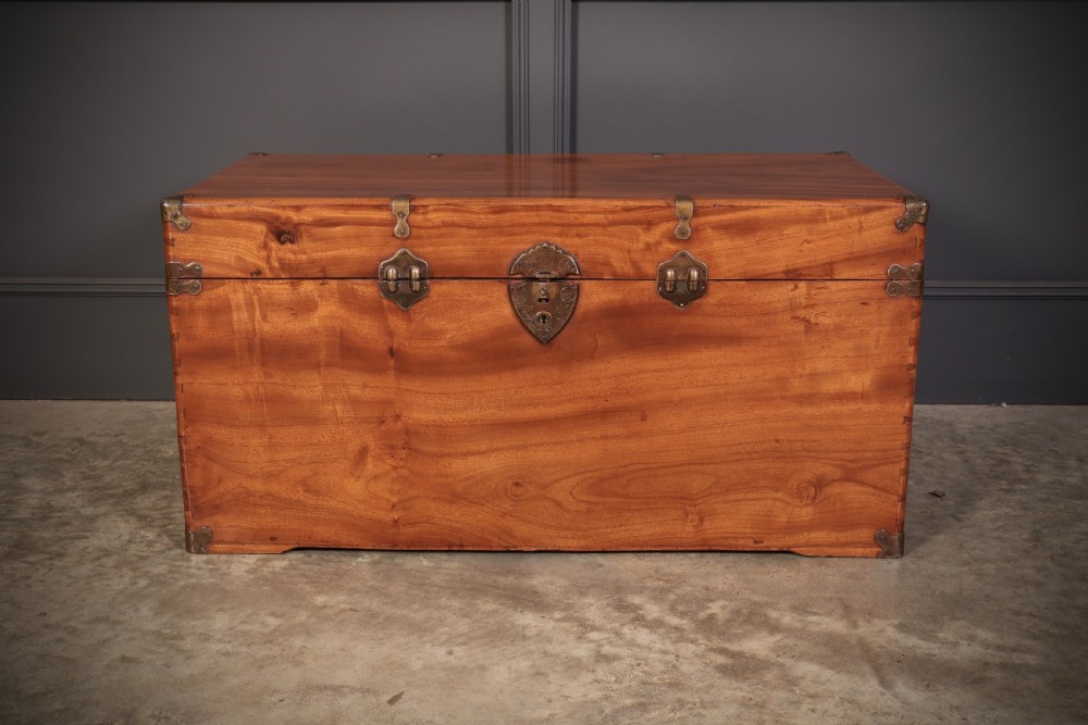 An antique warm amber brown camphor wood trunk featuring protective brass corner mounts, side handles, and a brass escutcheon. View V