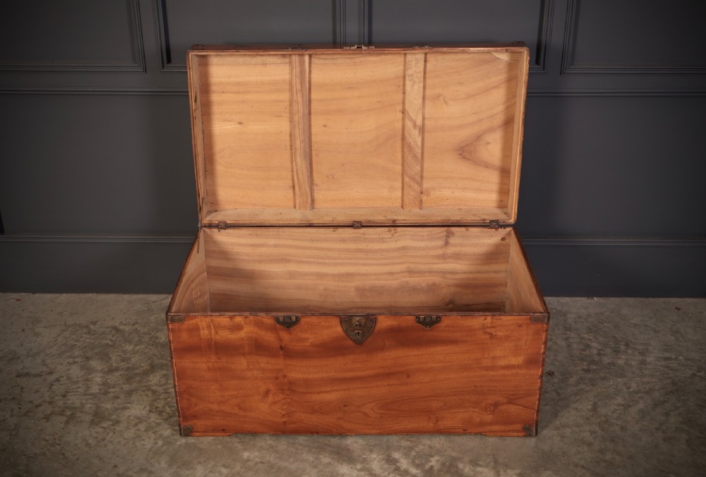 An antique warm amber brown camphor wood trunk featuring protective brass corner mounts, side handles, and a brass escutcheon. View VI