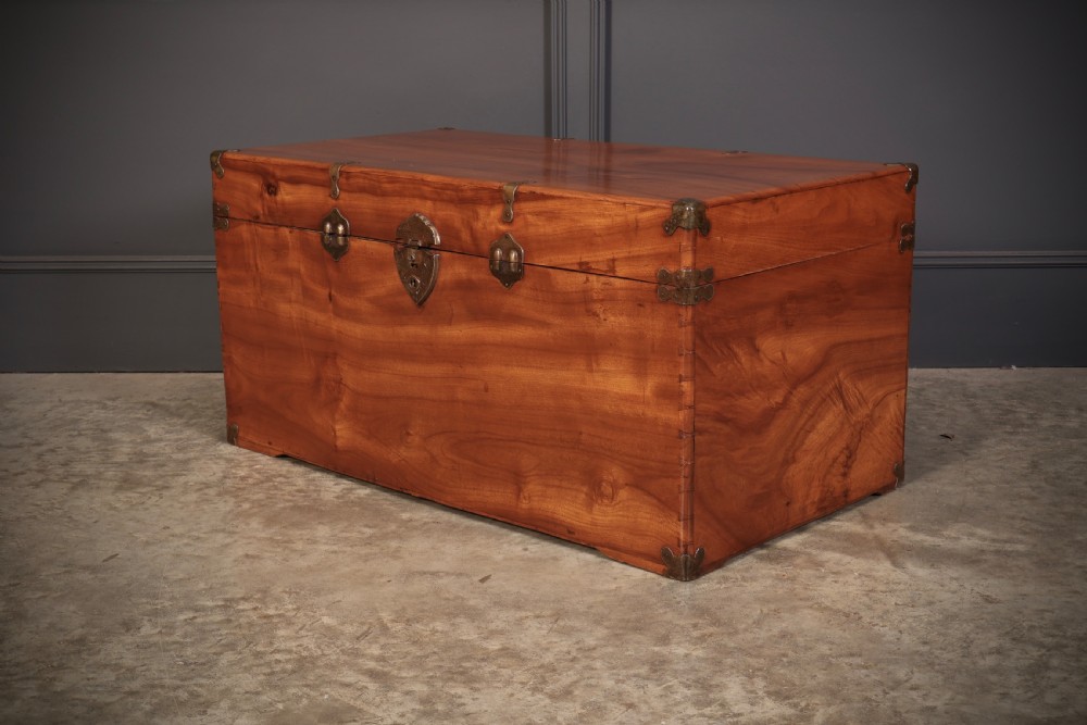 An antique warm amber brown camphor wood trunk featuring protective brass corner mounts, side handles, and a brass escutcheon. View VIII