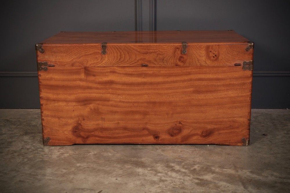 An antique warm amber brown camphor wood trunk featuring protective brass corner mounts, side handles, and a brass escutcheon. View X