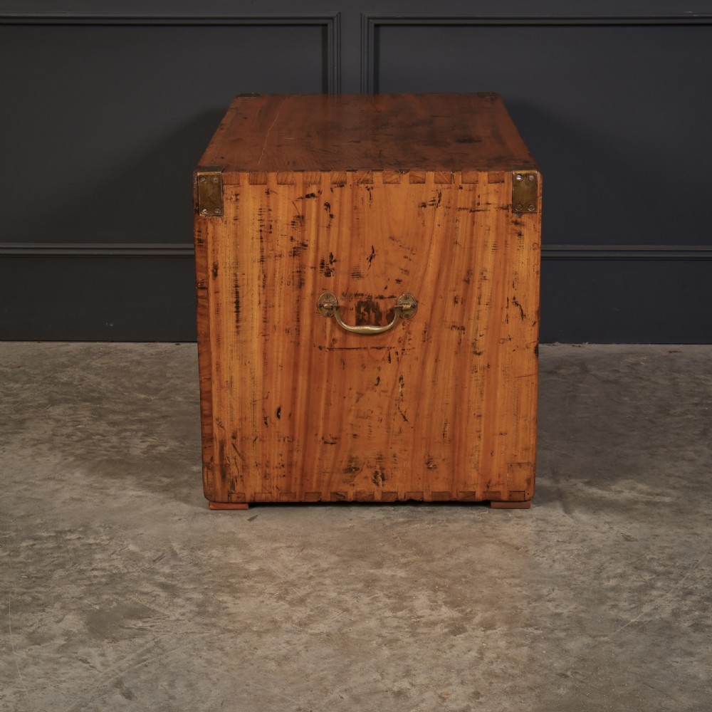 A low camphor wood campaign chest featuring recessed brass handles, brass corner brackets, exposed dovetail joints, and side brass carrying handles. View XI