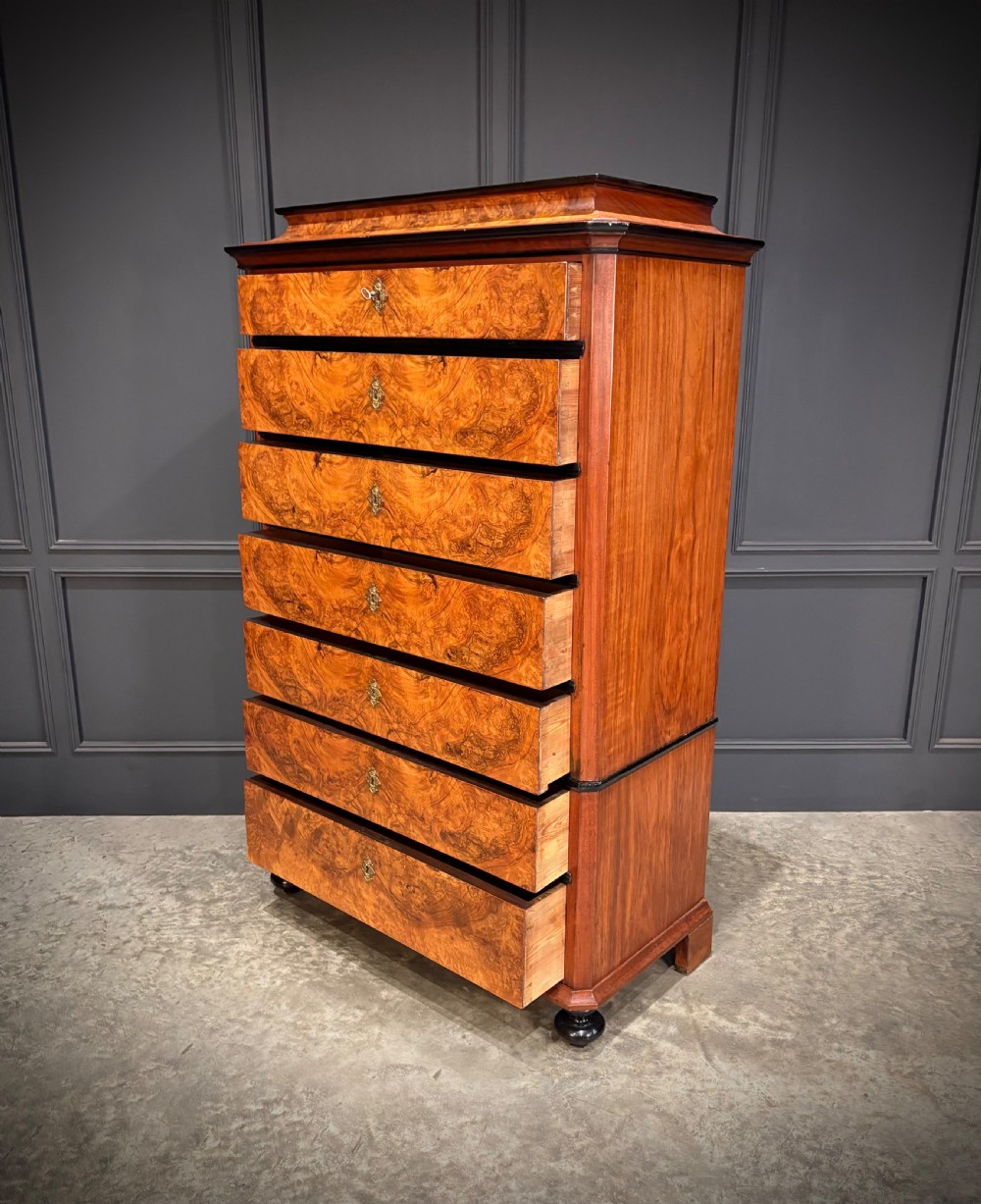 A tall 19th-century burr walnut chest of drawers featuring seven graduated drawers with brass escutcheons and ebonised mouldings set on turned front feet. View VI