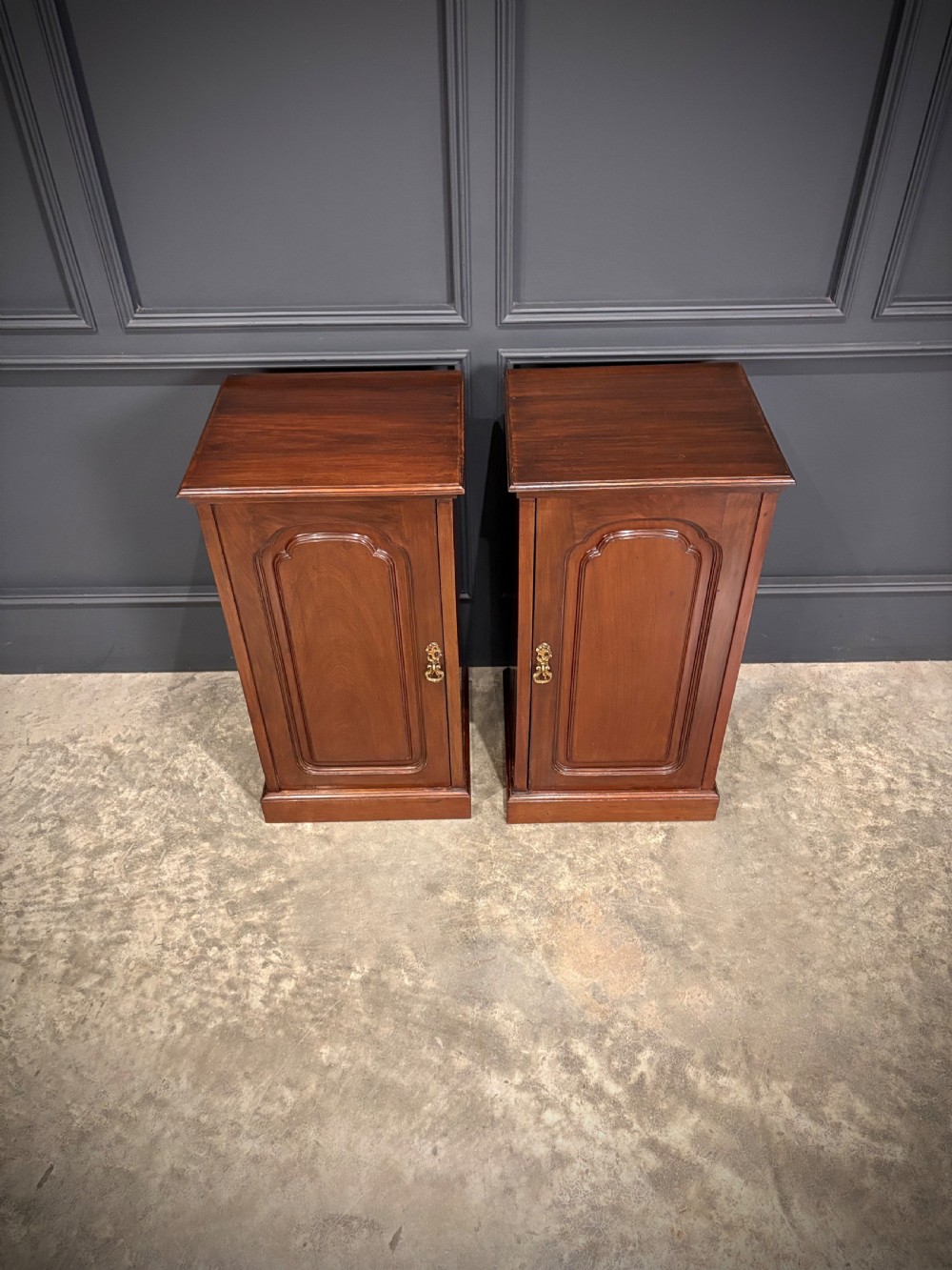 A pair of antique rich mahogany bedside cabinets featuring single arched panel doors and solid plinth bases. View II