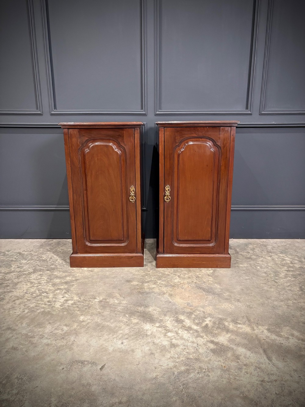A pair of antique rich mahogany bedside cabinets featuring single arched panel doors and solid plinth bases. View III