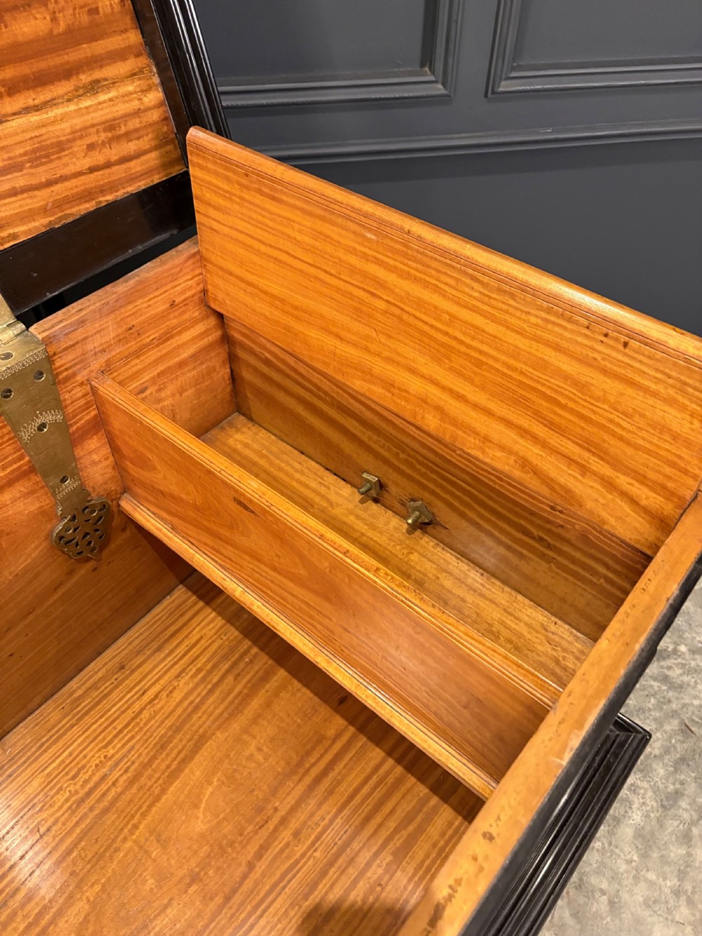 A large Ceylonese camphor wood and ebony storage trunk with an ornate metal escutcheon, side handles, and heavy turned bulbous feet. View VII