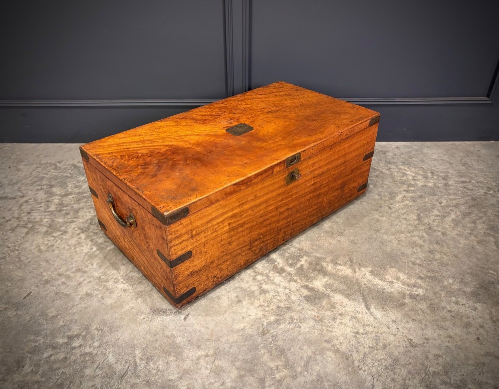 A rectangular 19th-century camphor wood trunk featuring brass corner bindings, side carrying handles, and a central brass lock plate.