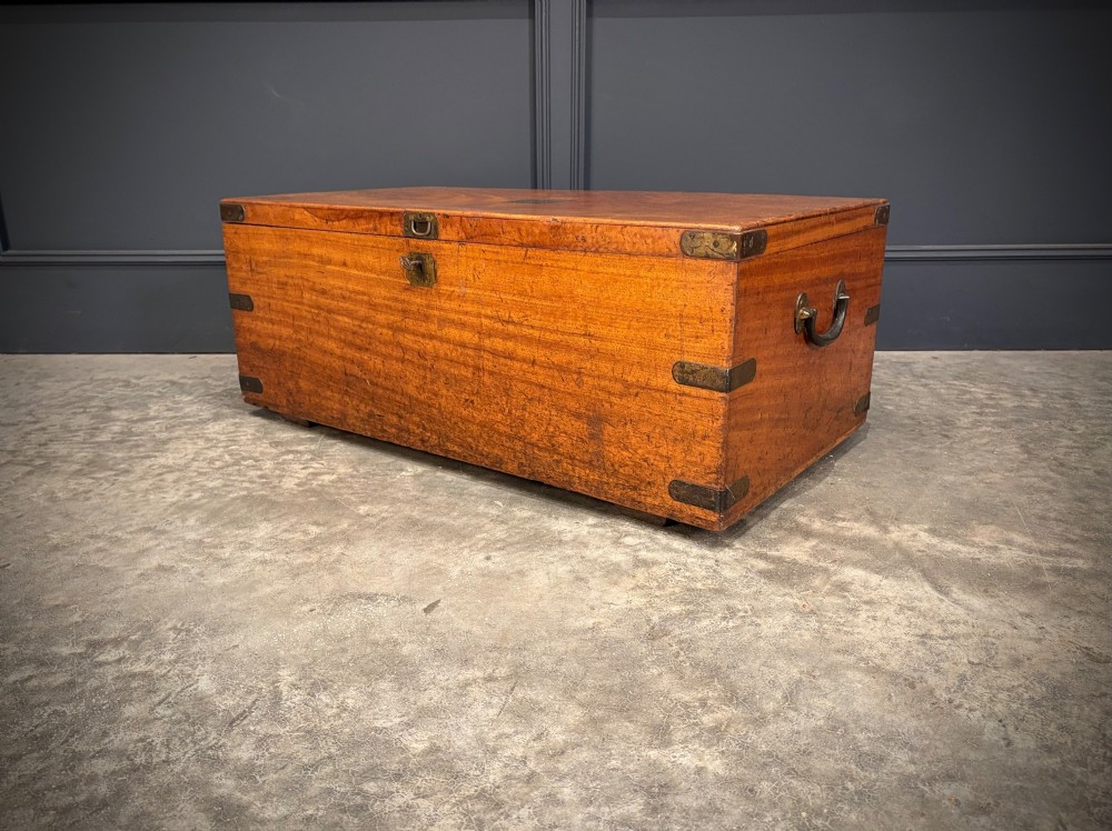 A rectangular 19th-century camphor wood trunk featuring brass corner bindings, side carrying handles, and a central brass lock plate. View VI