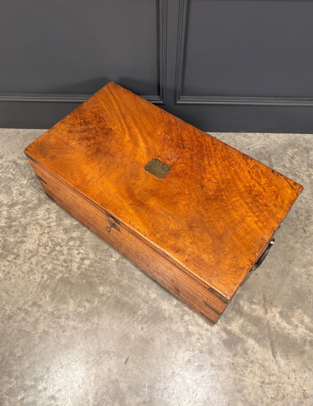 A rectangular 19th-century camphor wood trunk featuring brass corner bindings, side carrying handles, and a central brass lock plate. View VII