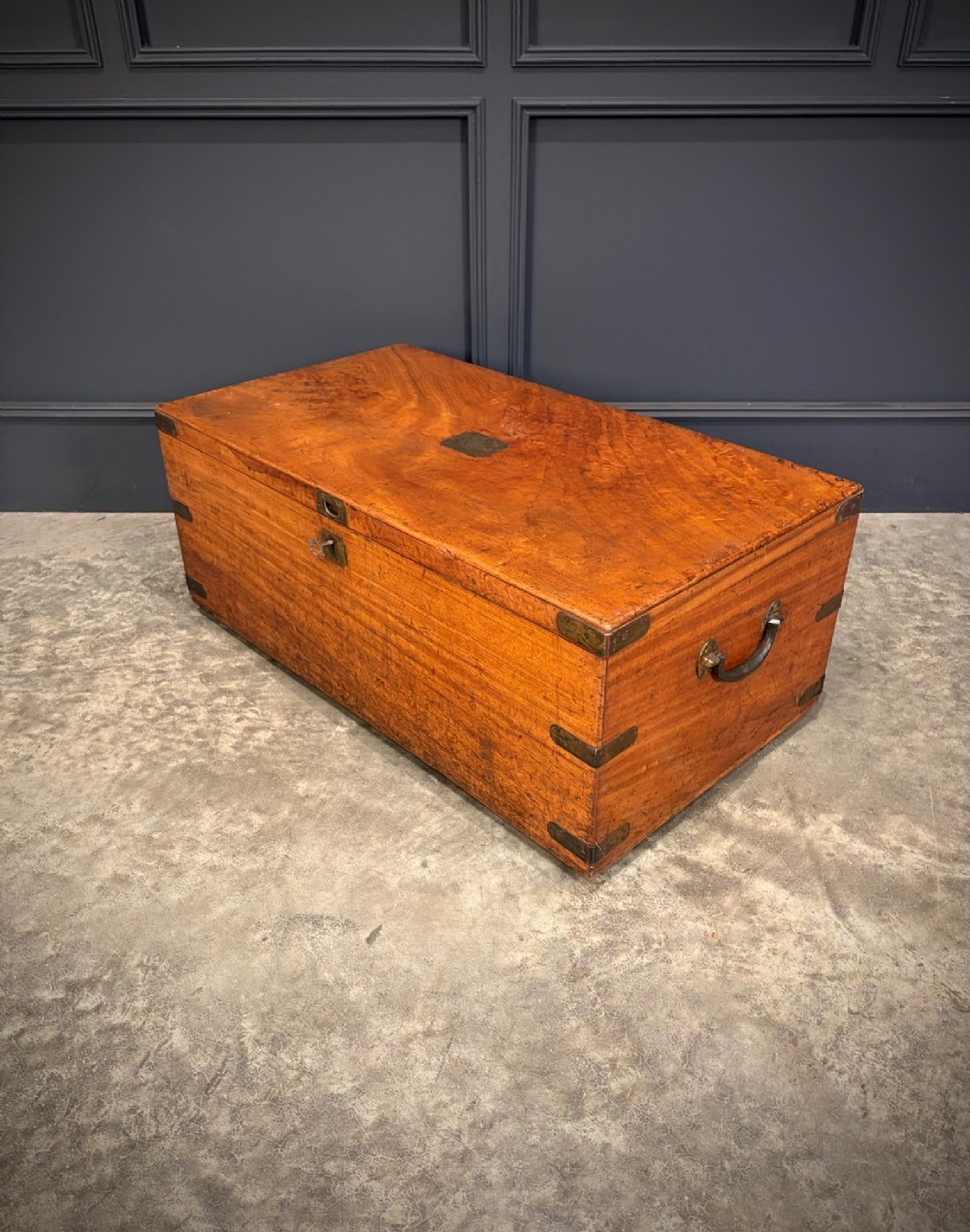 A rectangular 19th-century camphor wood trunk featuring brass corner bindings, side carrying handles, and a central brass lock plate. View VIII