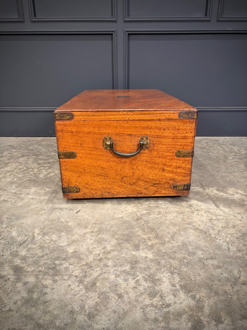 A rectangular 19th-century camphor wood trunk featuring brass corner bindings, side carrying handles, and a central brass lock plate. View X