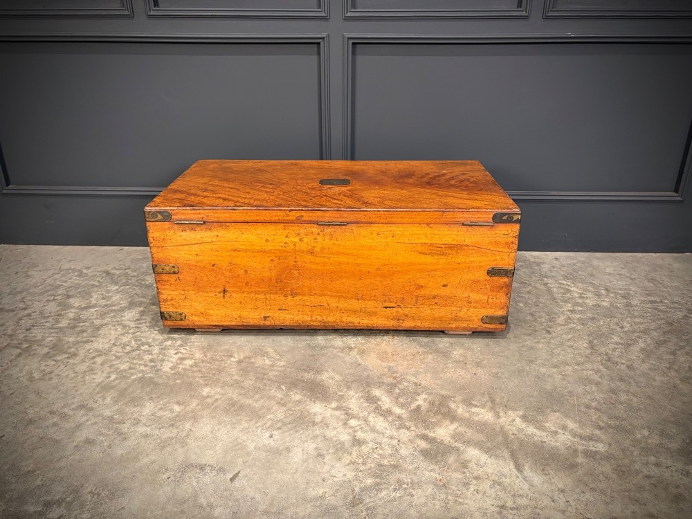 A rectangular 19th-century camphor wood trunk featuring brass corner bindings, side carrying handles, and a central brass lock plate. View XI