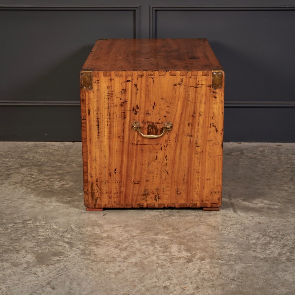 A low rectangular camphor wood campaign chest featuring three drawers with recessed brass handles, brass corner straps, and side carrying handles. View X