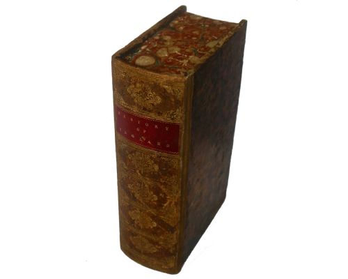 fig 1. Antique English Backgammon Counter Set, 19th Century