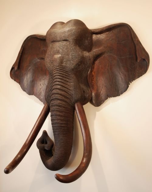 Large 19thc Carved Wooden Elephant Head
