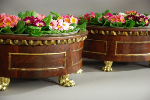 fig 1. Pair of decorative 19th century mahogany jardinieres of demilune form