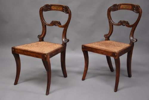 fig 1. Pair of 19thc simulated rosewood Regency chairs in the manner of Gillows