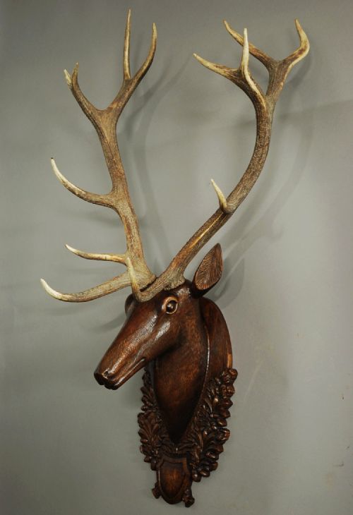 Early 20th Century Large Life Size Carved Oak Stag Head Trophy with Genuine Stag Antlers