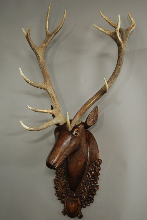 fig 1. Early 20th century large life size carved oak stag head trophy with genuine stag antlers