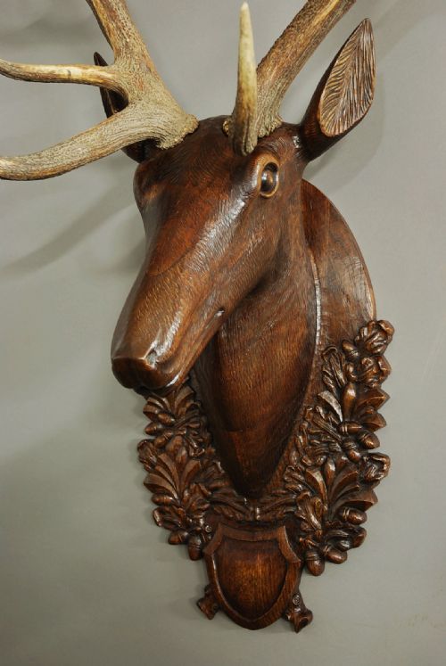 fig 2. Early 20th century large life size carved oak stag head trophy with genuine stag antlers