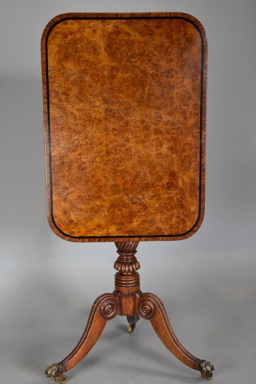 Rare Fine Quality Early 19th Century Regency Burr Oak Tilt Top Table