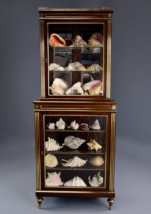 HIGHLY DECORATIVE LATE 19TH CENTURY FRENCH DIRECTOIRE STYLE MAHOGANY VITRINE OR DISPLAY CABINET - ADDITIONAL PHOTO 5