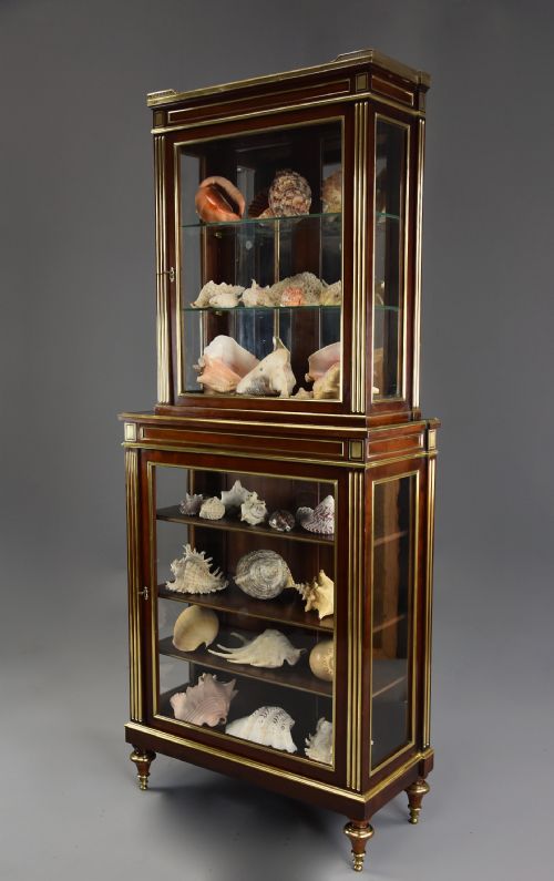 HIGHLY DECORATIVE LATE 19TH CENTURY FRENCH DIRECTOIRE STYLE MAHOGANY VITRINE OR DISPLAY CABINET - ADDITIONAL PHOTO 6