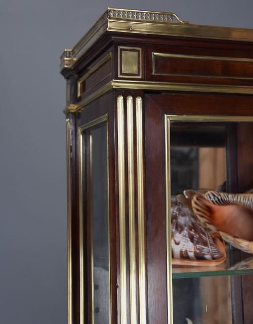 HIGHLY DECORATIVE LATE 19TH CENTURY FRENCH DIRECTOIRE STYLE MAHOGANY VITRINE OR DISPLAY CABINET - ADDITIONAL PHOTO 7