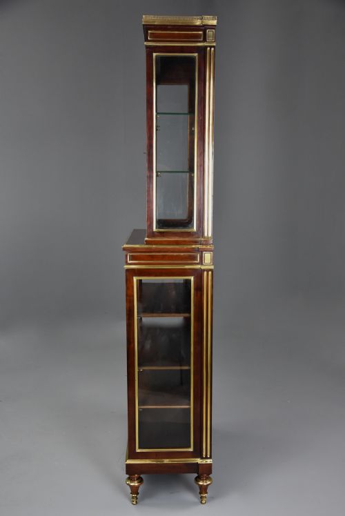 HIGHLY DECORATIVE LATE 19TH CENTURY FRENCH DIRECTOIRE STYLE MAHOGANY VITRINE OR DISPLAY CABINET - ADDITIONAL PHOTO 11