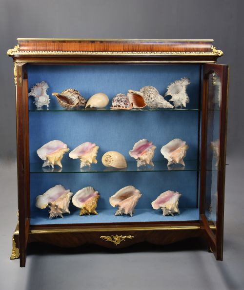 FINE QUALITY MID 19TH CENTURY FRENCH KINGWOOD DISPLAY CABINET WITH ORMOLU DECORATION - ADDITIONAL PHOTO 10
