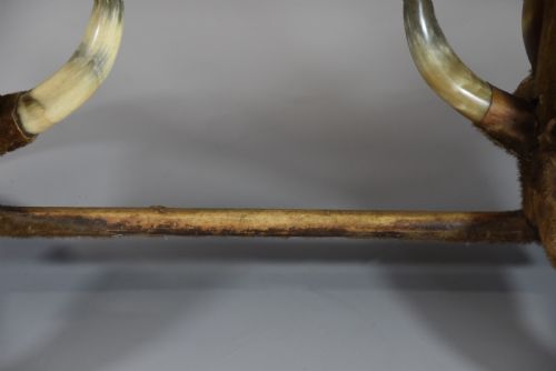 LATE 19TH CENTURY HIGHLY DECORATIVE UNUSUAL GERMAN COW HORN TABLE IN ORIGINAL CONDITION - ADDITIONAL PHOTO 6