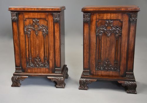SUPERB RARE PAIR OF MID 18TH CENTURY MAHOGANY CHIPPENDALE PEDESTAL CABINETS OF EXCEPTIONAL COLOUR - ADDITIONAL PHOTO 5