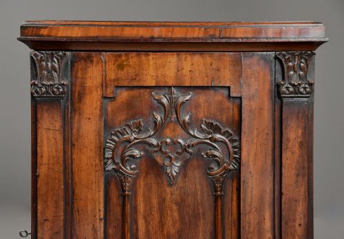 SUPERB RARE PAIR OF MID 18TH CENTURY MAHOGANY CHIPPENDALE PEDESTAL CABINETS OF EXCEPTIONAL COLOUR - ADDITIONAL PHOTO 7