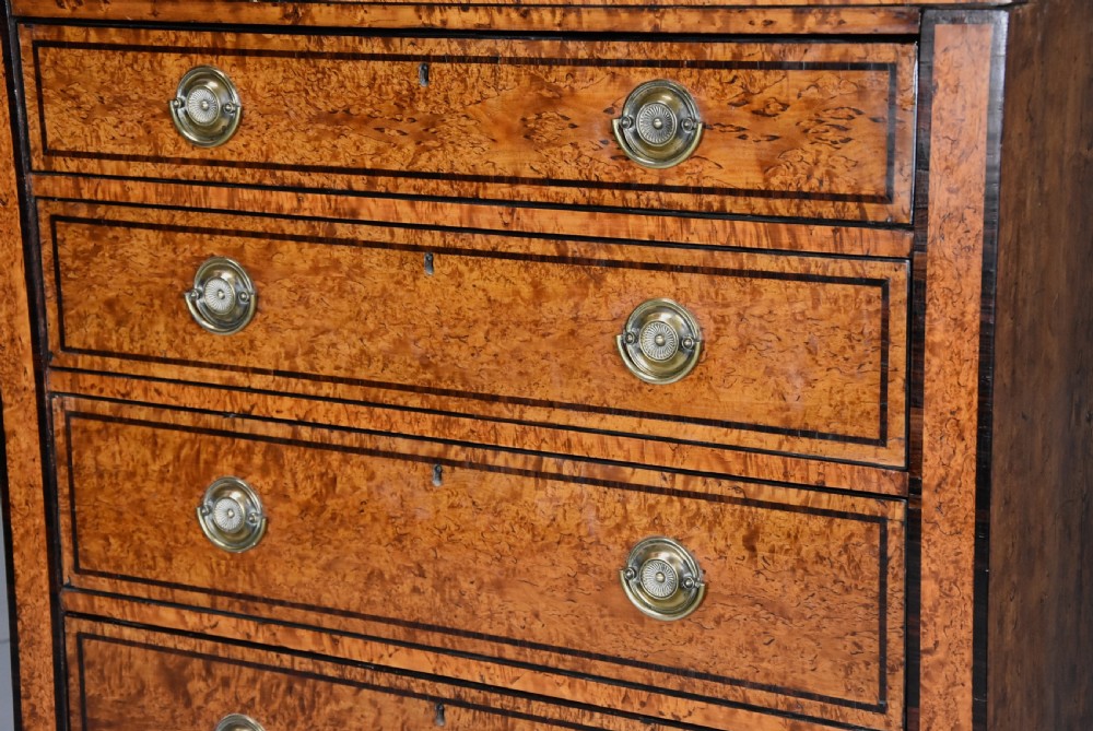 Rare early 19th century Regency Karelian birch chest of drawers View VI