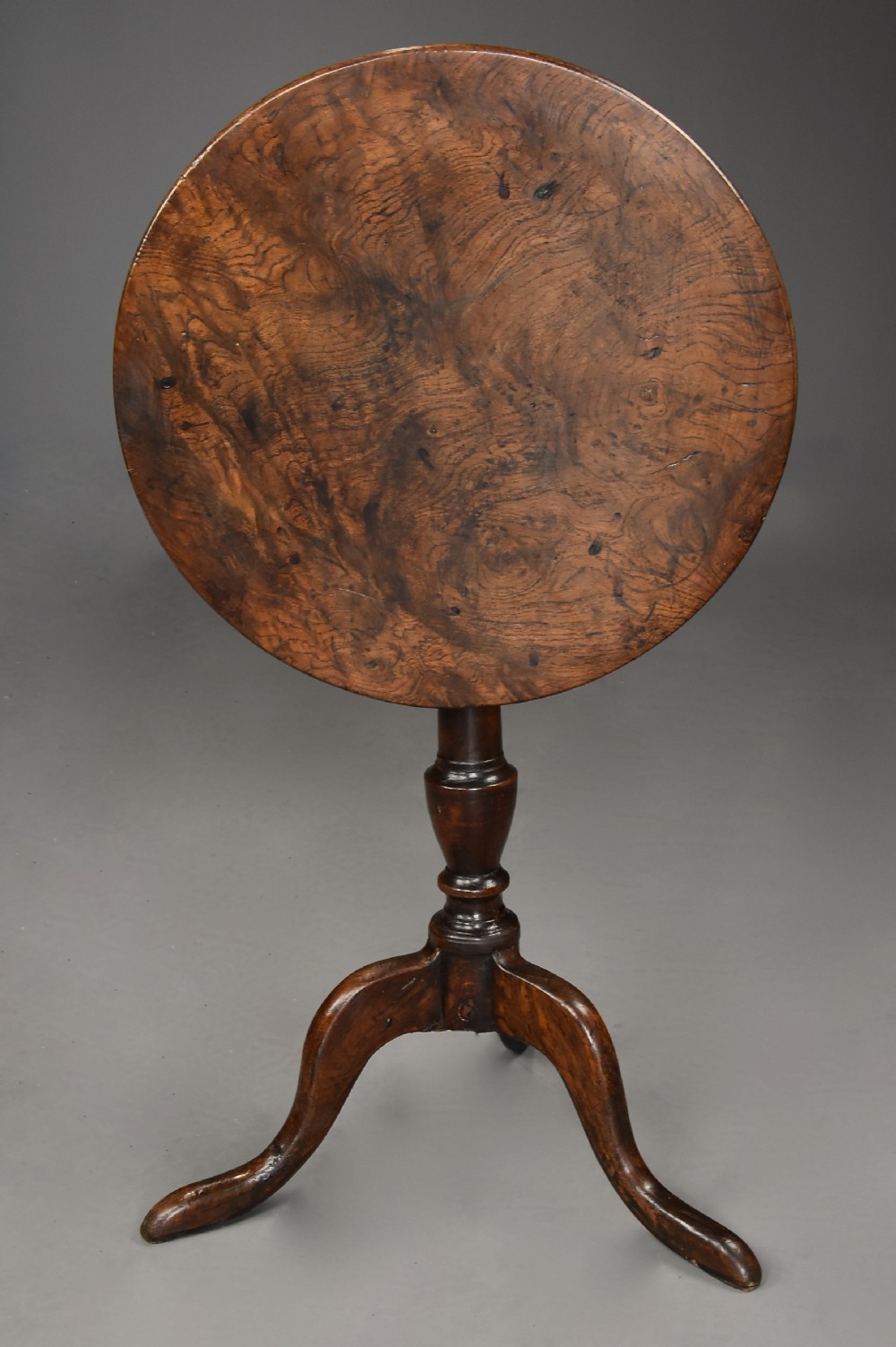 Charming late 18th century burr oak tilt top tripod table of fine, faded patina