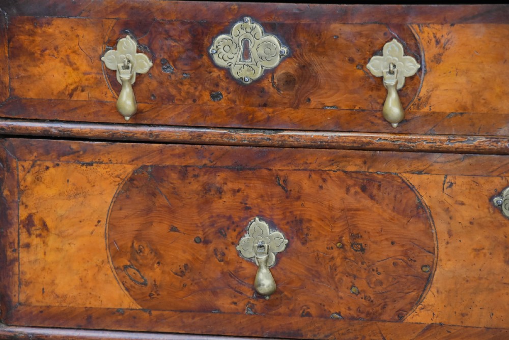 A late 17th-century William and Mary chest of drawers with oval yew wood veneers, brass teardrop handles, and dark turned bun feet. View IX