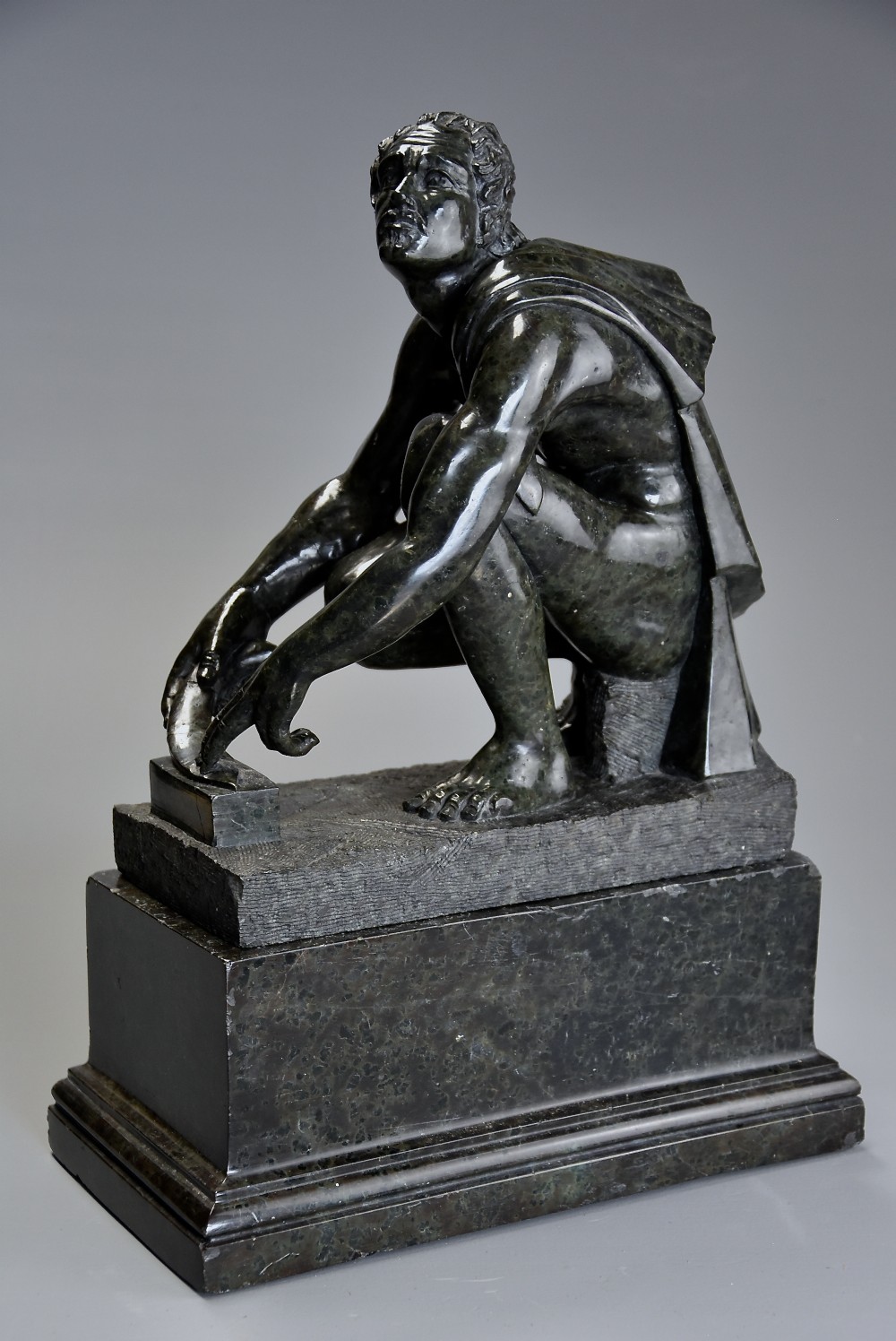 Alternate View