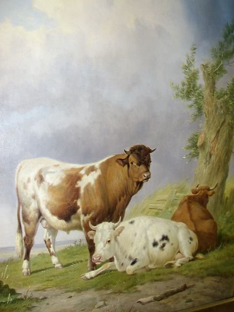 fig 3. 19TH CENTURY OIL PAINTING SIGNED T. SIDNEY COOPER / ENGLISH SCHOOL C1876 IN ORIGINAL GILT FRAME OF A BULL WITH CATTLE RESTING IN A LANDSCAPE 28 X 26 INS