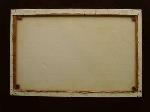 Field Photo 6