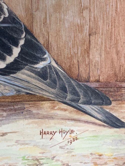 A framed watercolour painting depicting a profile view of a racing pigeon against a timber panel backdrop. View III