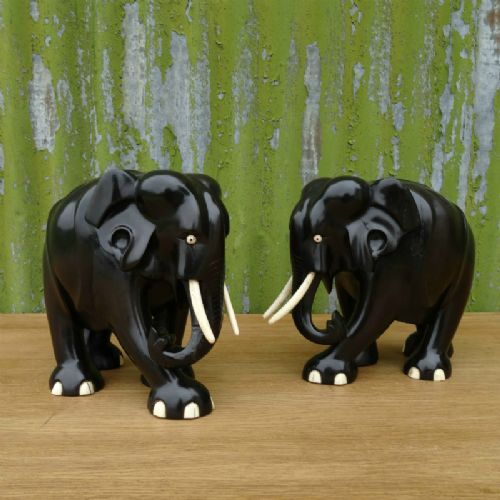 Large Pair of Indian Elephants