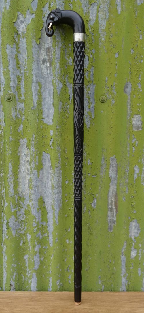 Indian Walking Stick