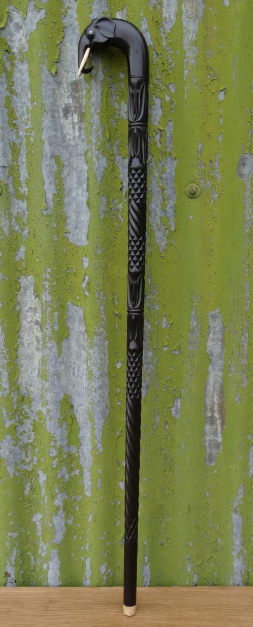 Indian Walking Stick